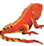 845955_f322c6611aca42ce849e29703515645d.png_srz_p_148_154_75_22_0.50_1.20_0.00_png_srz