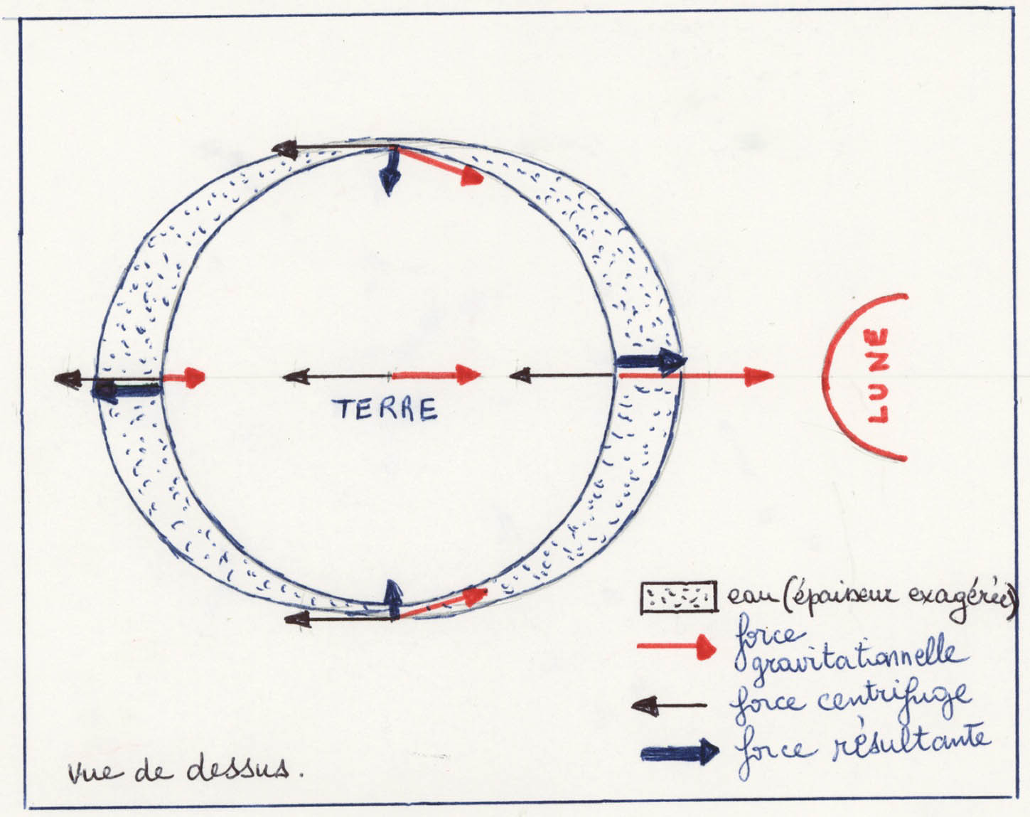 Pourquoi y a t-il deux marées par jour ? | Ker Groix-Noble